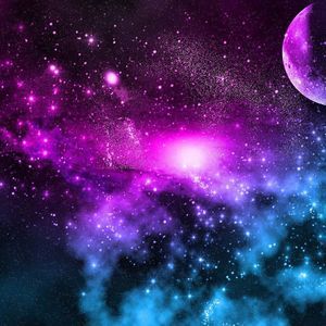 Meet your Posher, Mackenzie